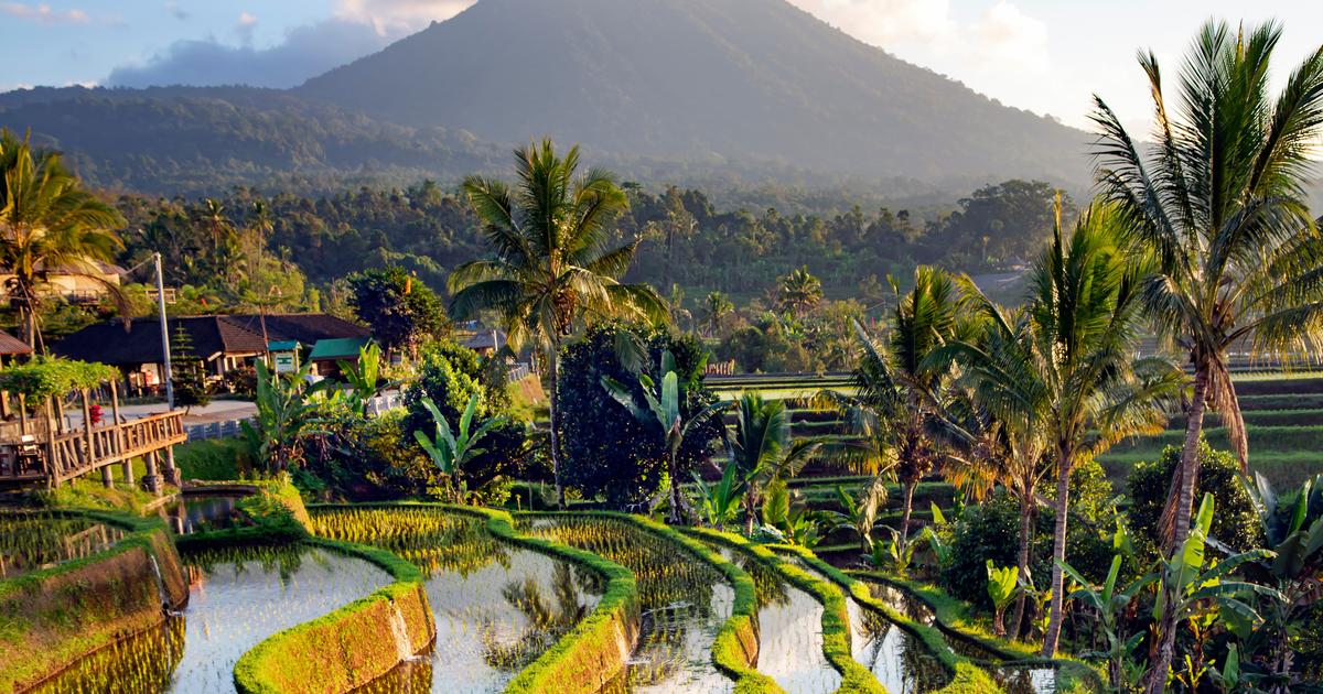 A Russian Expelled From Bali For A Photo Showing Her Naked In Front Of