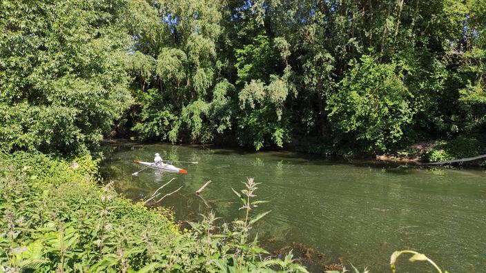 Cent cinquante ans après que reste t il de la Seine des Impressionnistes