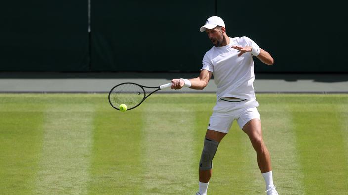 Wimbledon Djokovic Bien Pr Sent Dans Le Tableau Final Murray Aussi