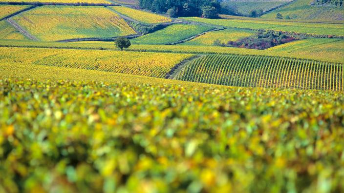 Foires Aux Vins Notre S Lection Des Meilleurs Vins De Bourgogne