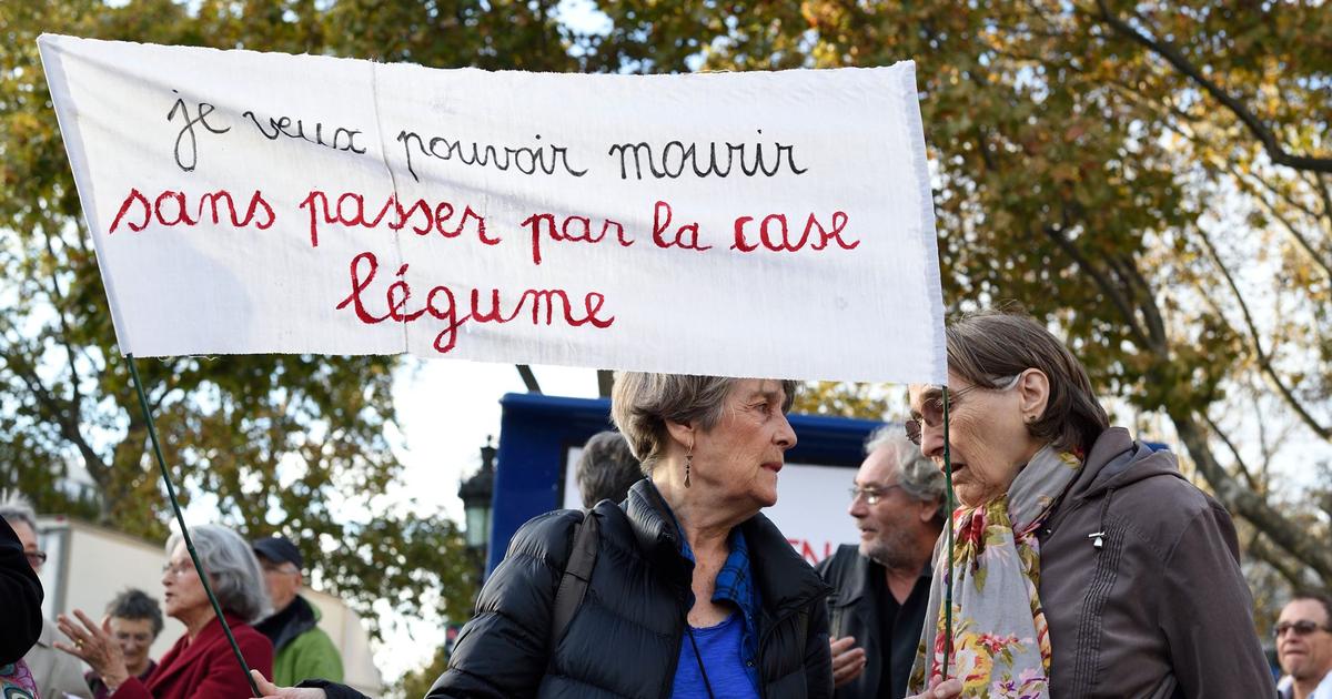 Affaire Vincent Lambert Les Partisans De Leuthanasie Entendent Faire