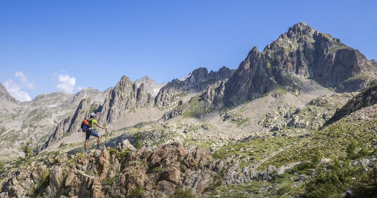 Avec le réchauffement climatique les Alpes du Sud verdissent