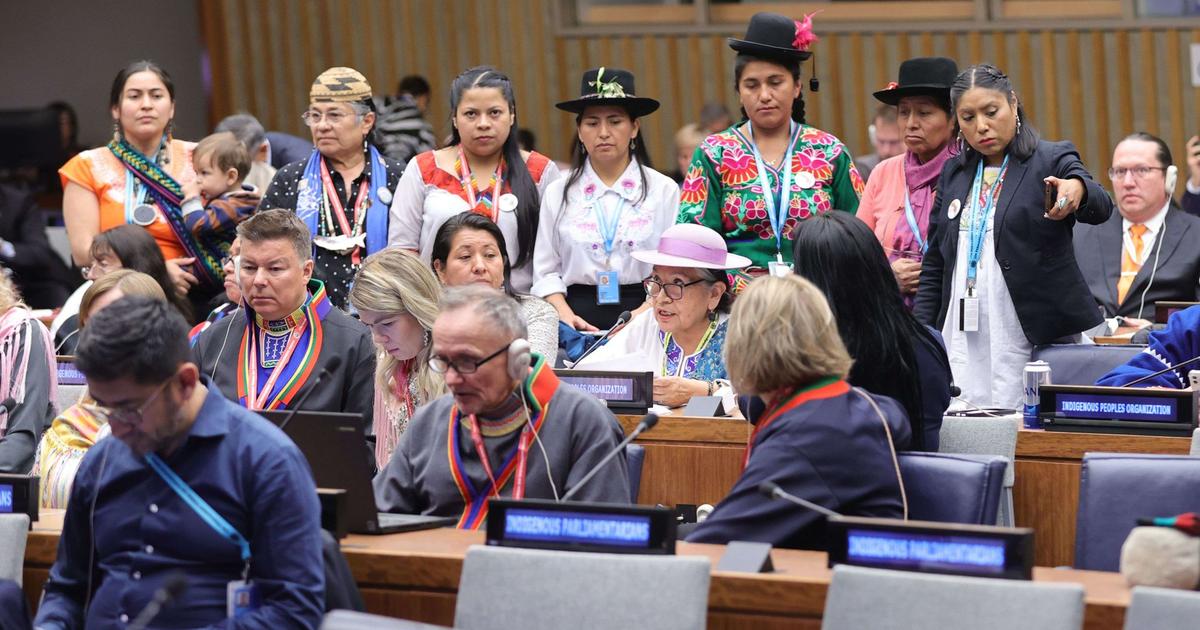 LONU Se Dresse Contre Le Colonialisme Vert