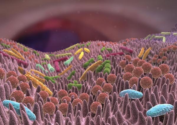 40 milliards de bactéries de 1000 espèces différentes peuplent nos intestins.