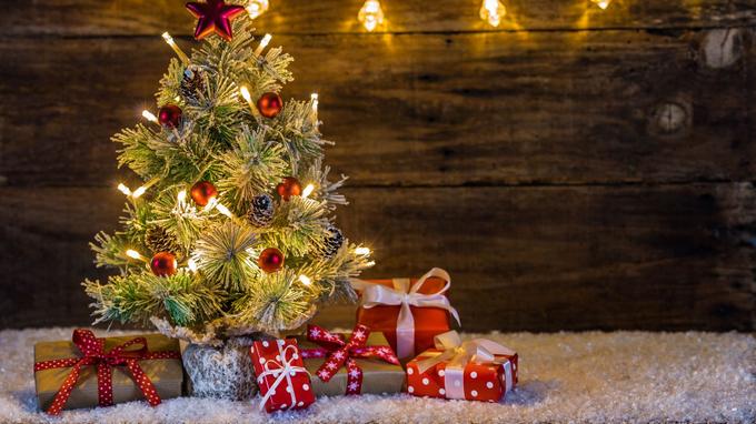 Attention au syndrome allergique du sapin de Noël