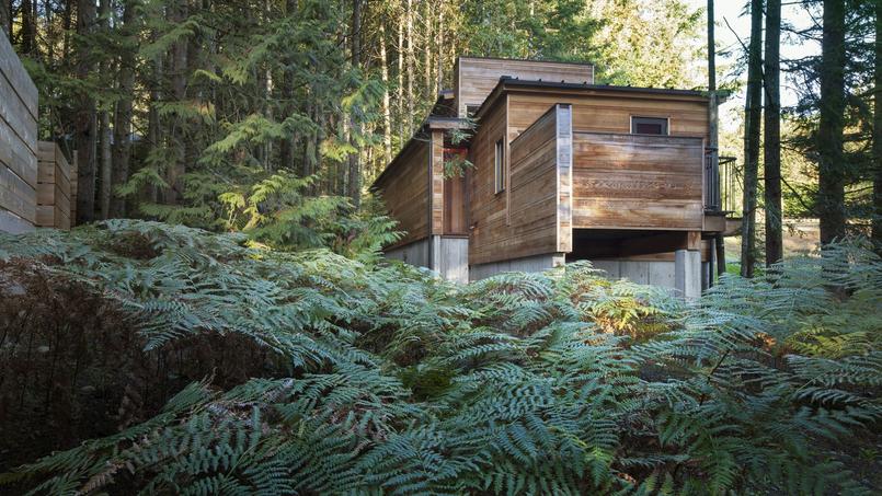 À la fois résidence secondaire et atelier, cette maison construite en 2014 par Agatham Co est installée sur l’île de Vancouver en Colombie Britannique. Une construction mêlant cèdre et sapin local, nichée au milieu des fougères.