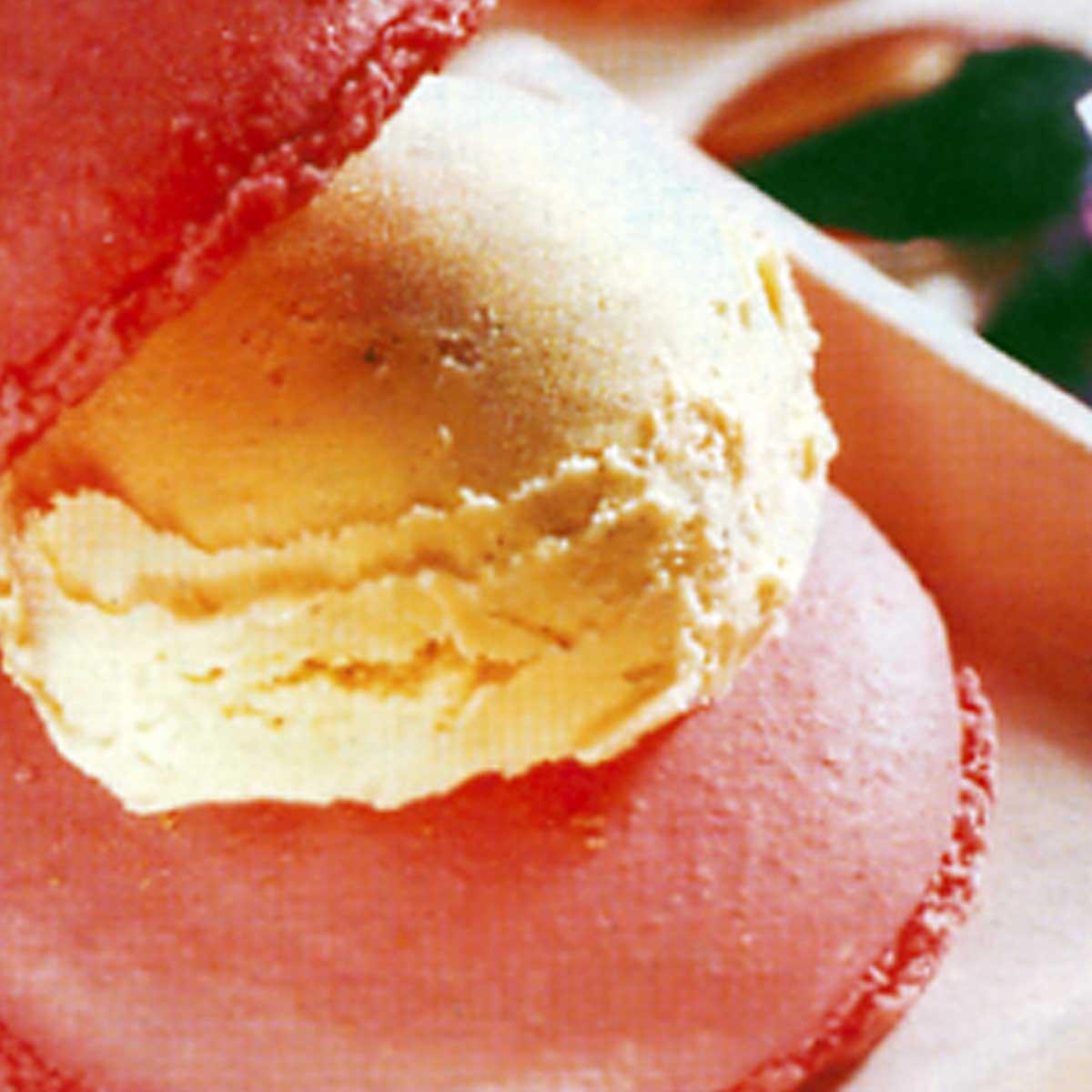 macaron vanille rencontres