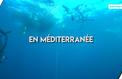 Un apnéiste descend à plus de 100 mètres de profondeur en Méditerranée