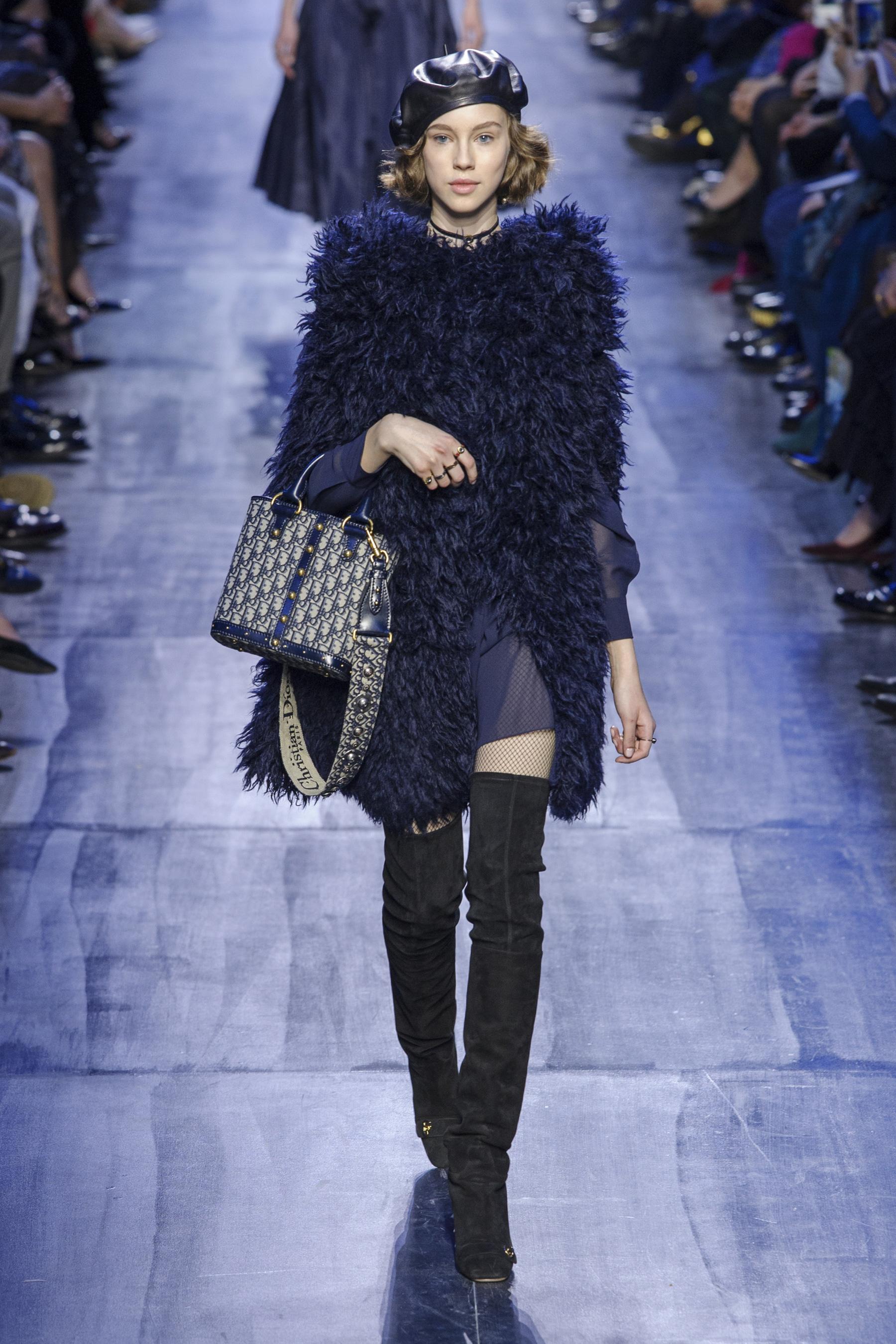 Défilé Christian Dior automne,hiver 2017,2018, Paris , Look 18.
