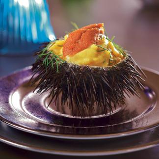 comment cuisiner oursin