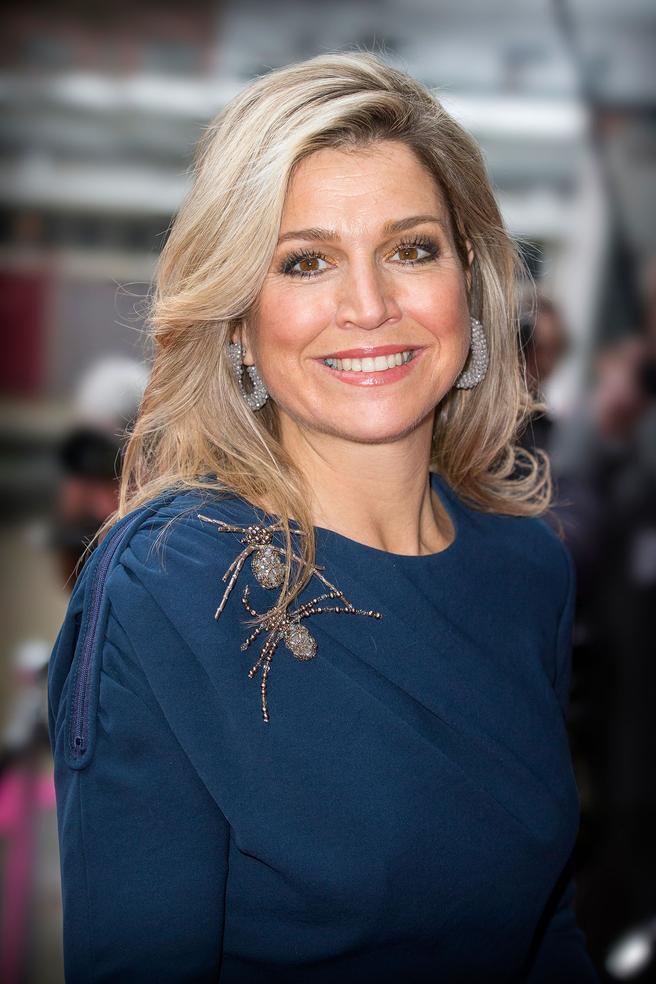 Maxima Des Pays-bas Régime maxima des pays bas
