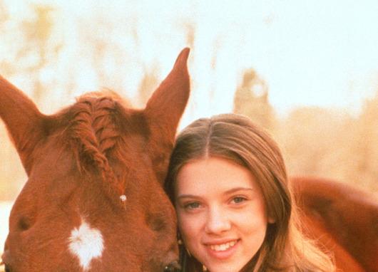 Lhomme qui murmurait à loreille des chevaux s
