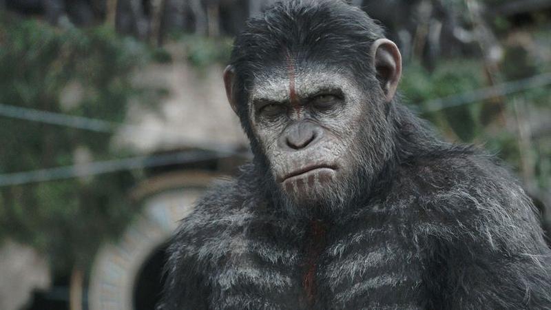 La Planète Des Singes 2 Streaming La Planète des Singes 2 : huit singes mythiques du cinéma