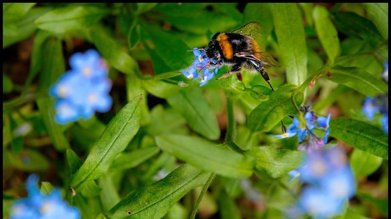 le musée à la rencontre de ses visiteurs