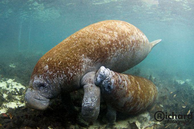 rencontre couple en floride