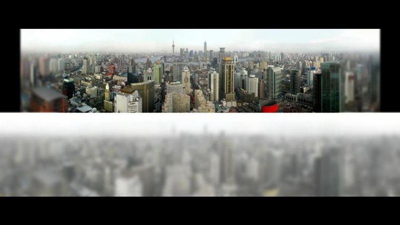 quels sont les animaux nyctalopes