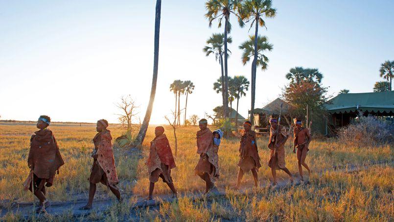 quand la girafe rencontre le chacal