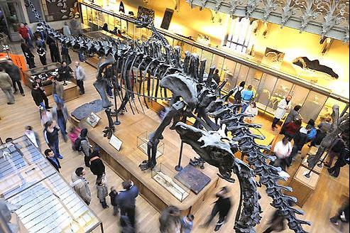 rencontre homme dinosaure