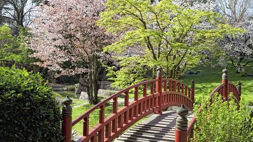 Nature du Japon (French Edition)