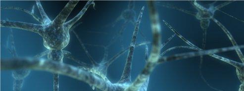 100 milliards de neurones dans un cerveau