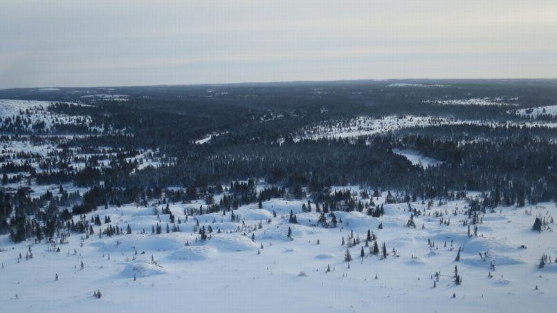 Les palses, des buttes de glace recouvertes de tourbe, sont des formations typiques des paysages périglaciaires, ici au sud de Kuujjuarapik, au Québec.