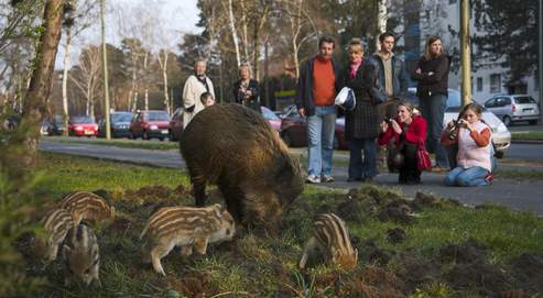 http://i.f1g.fr/media/ext/orig/www.lefigaro.fr/medias/2008/12/20/d58dbefc-ce06-11dd-a846-6036b58484cc.jpg