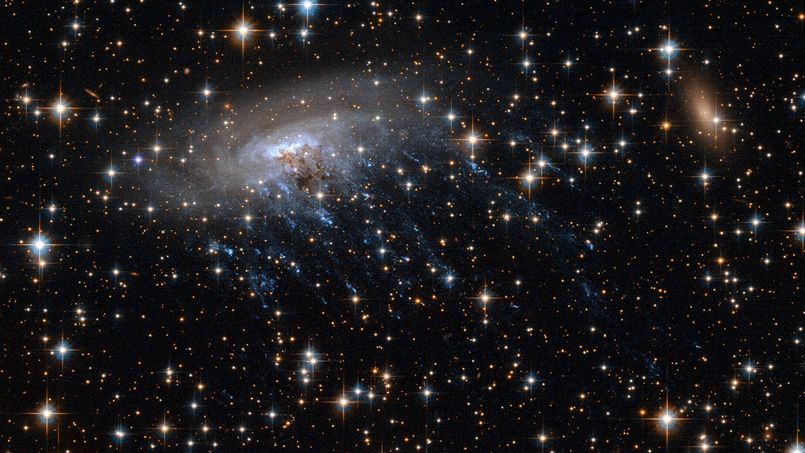 rencontre de deux séries causales indépendantes