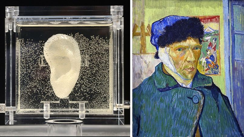 Peintre Qui C Est Coupé L Oreille L'oreille coupée de Van Gogh exposée en Allemagne