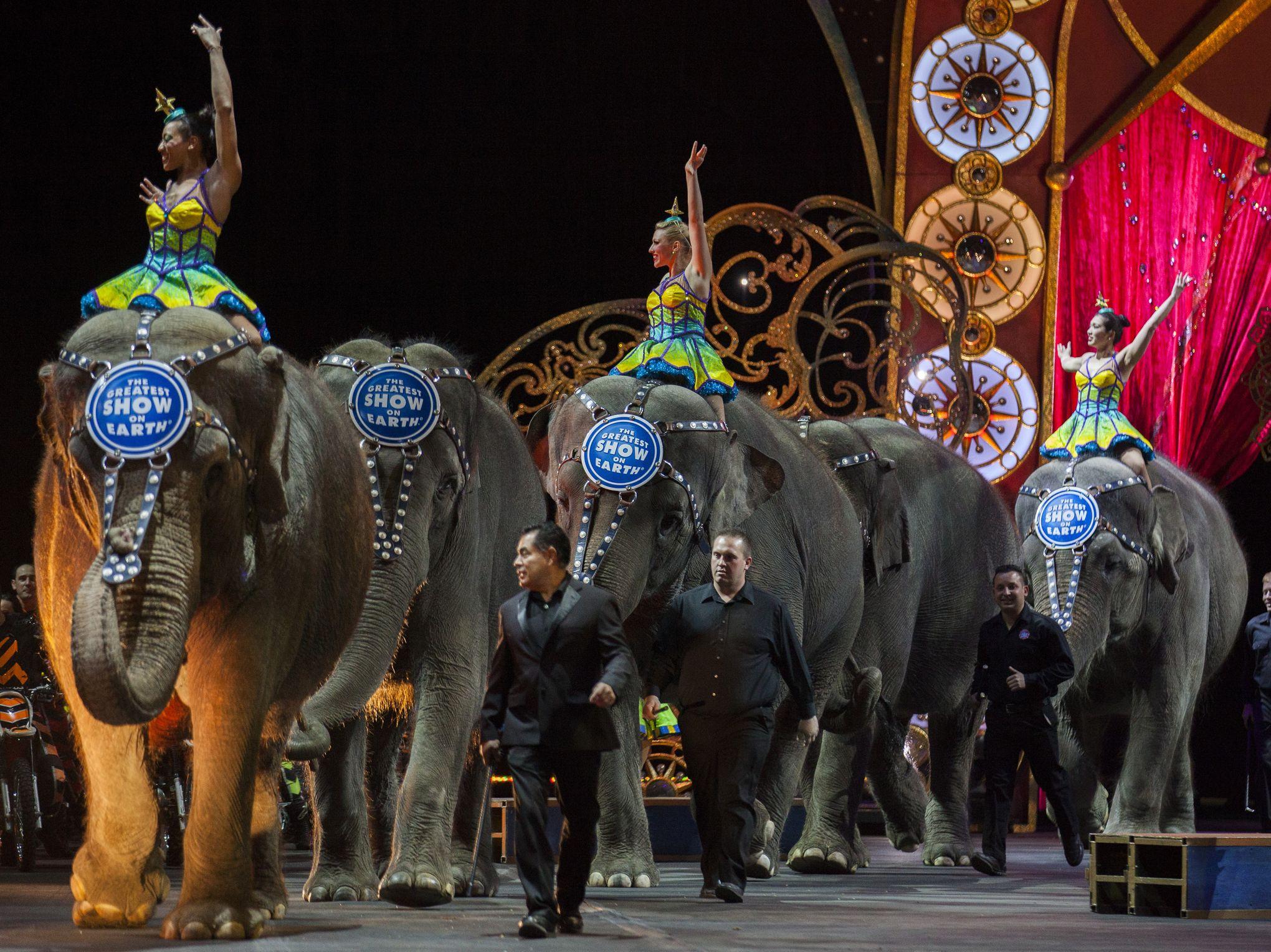 Après 146 ans d'existence, le cirque Barnum a fait son dernier tour de