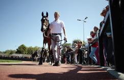 En 2002, la vente d'un de ces poulains avait atteint le record de 2 millions d'euros.