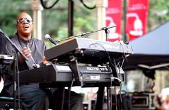 Stevie Wonder has surprised his fans by organizing a series of free concerts.