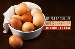 La campagne de Monoprix qui soutient le bien-être animal.