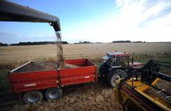 Une exploitation agricole dans l'Indre.