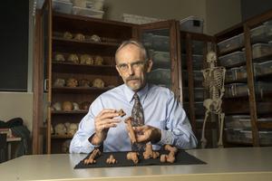 anthropologist John Kappelma, from college &  # xe9, Austin (Texas), holding a 3D reproduction  of Lucy's bones.