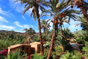 Bab el Oued Ecolodge, au pied du Jbel Kissane. ©DR