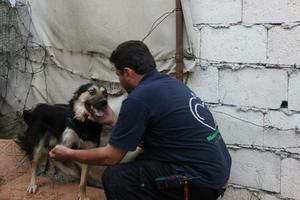 Mohammad Alaa Jaleel et le chien ‘Hope'