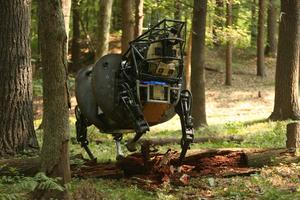 L'AlphaDog est un robot de transport de charges lourdes développé par Boston Dynamics pour l'armée américaine.