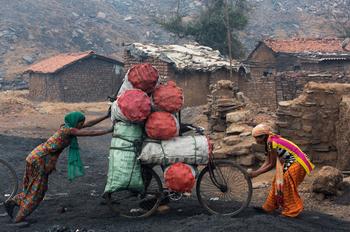 Chaque matin, des grossistes viennent prendre livraison du charbon collecté la veille par les femmes du village de Ganshadia ; 250 kg de sacs sont transportés à bicyclette.