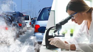 Diesel: des Hollandais assument réaliser des tests sur des humains «depuis des années»