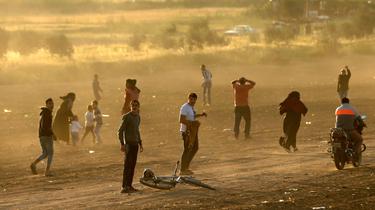 Goldnadel : «Ce que l'on n'a pas dit sur les morts à Gaza»