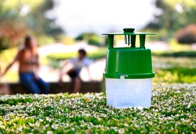 Le piège Buxatrap permet de détecter les vols de pyrale et de traiter en conséquence. Photo: Capsulecommunication.fr