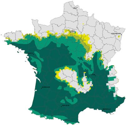 Carte de répartition de la chenille processionnaire du pin à l'hiver 2015-2016. Source: Inra Orléans/Val de Loire.