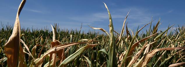 On July 16, near Lyon (Rhone).
