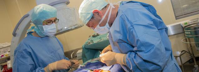 Un demi-million d'euros ont été gelés par le ministère de façon préventive.