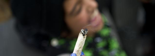 Le «Facebook du cannabis» revendique aujourd'hui 775.000 utilisateurs.