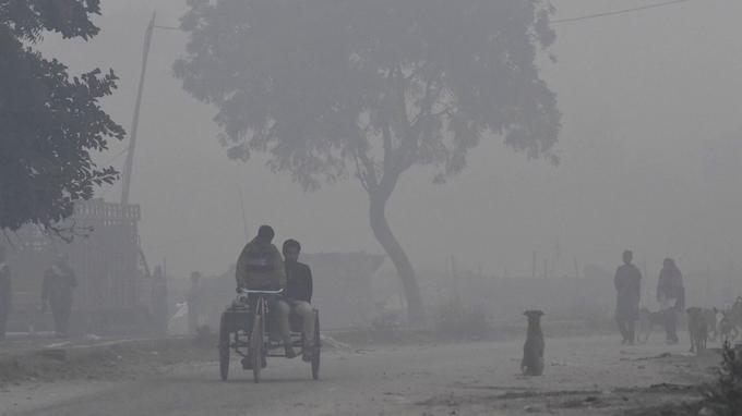 Le brouillard polluant est très épais à New Delhi.