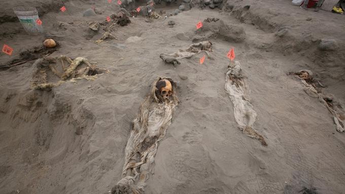 Au total, 56 restes d'enfants ont Ã©tÃ© exhumÃ©s du site.