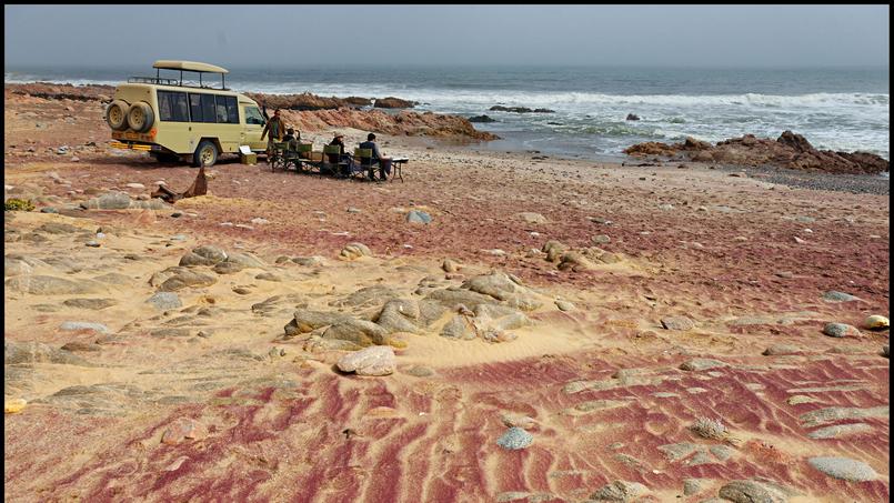 quand la girafe rencontre le chacal