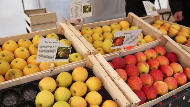 Faire ses courses au supermarché coûte plus cher !