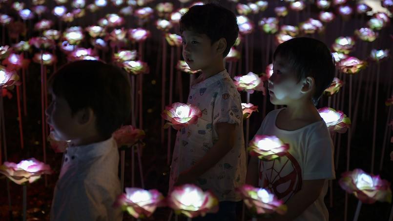 En Malaisie, des enfants tiennent une rose éclairée à la veille de Noël, dans la ville de Shah Alam, près de la capitale Kuala Lumpur. Une grande partie des minorités ethniques célèbrent cette fête chrétienne dans ce pays à majorité musulmane.